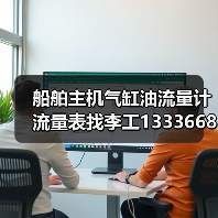 船舶主机气缸油流量计流量表找李工13336686138(图2) 船舶主机气缸油流量计流量表找李工13336686138(图2)