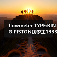 flowmeter TYPE:RING PISTON找李工13336686138(图2) flowmeter TYPE:RING PISTON找李工13336686138(图2)