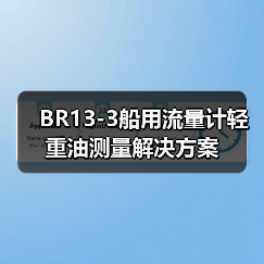 BR13-3船用流量计轻重油测量解决方案(图4) BR13-3船用流量计轻重油测量解决方案(图4)