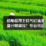 船舶船用主机气缸油流量计哪里找?专业供应李工13336686138(图4) 船舶船用主机气缸油流量计哪里找?专业供应李工13336686138(图4)