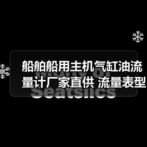 船舶船用主机气缸油流量计厂家直供 流量表型号齐全 专业供应（图4）