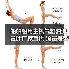 船舶船用主机气缸油流量计厂家直供 流量表型号齐全 专业供应（图2）