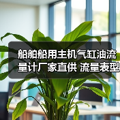 船舶船用主机气缸油流量计厂家直供 流量表型号齐全 专业供应（图1）