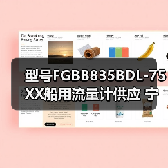 型号FGBB835BDL-75XX船用流量计供应 宁波明润船舶设备定制服务 李工13336686138(图4) 型号FGBB835BDL-75XX船用流量计供应 宁波明润船舶设备定制服务 李工13336686138(图4)