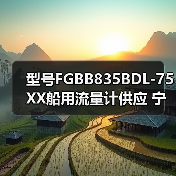 型号FGBB835BDL-75XX船用流量计供应 宁波明润船舶设备定制服务 李工13336686138(图3) 型号FGBB835BDL-75XX船用流量计供应 宁波明润船舶设备定制服务 李工13336686138(图3)