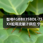 型号FGBB835BDL-75XX船用流量计供应 宁波明润船舶设备定制服务 李工13336686138(图2) 型号FGBB835BDL-75XX船用流量计供应 宁波明润船舶设备定制服务 李工13336686138(图2)
